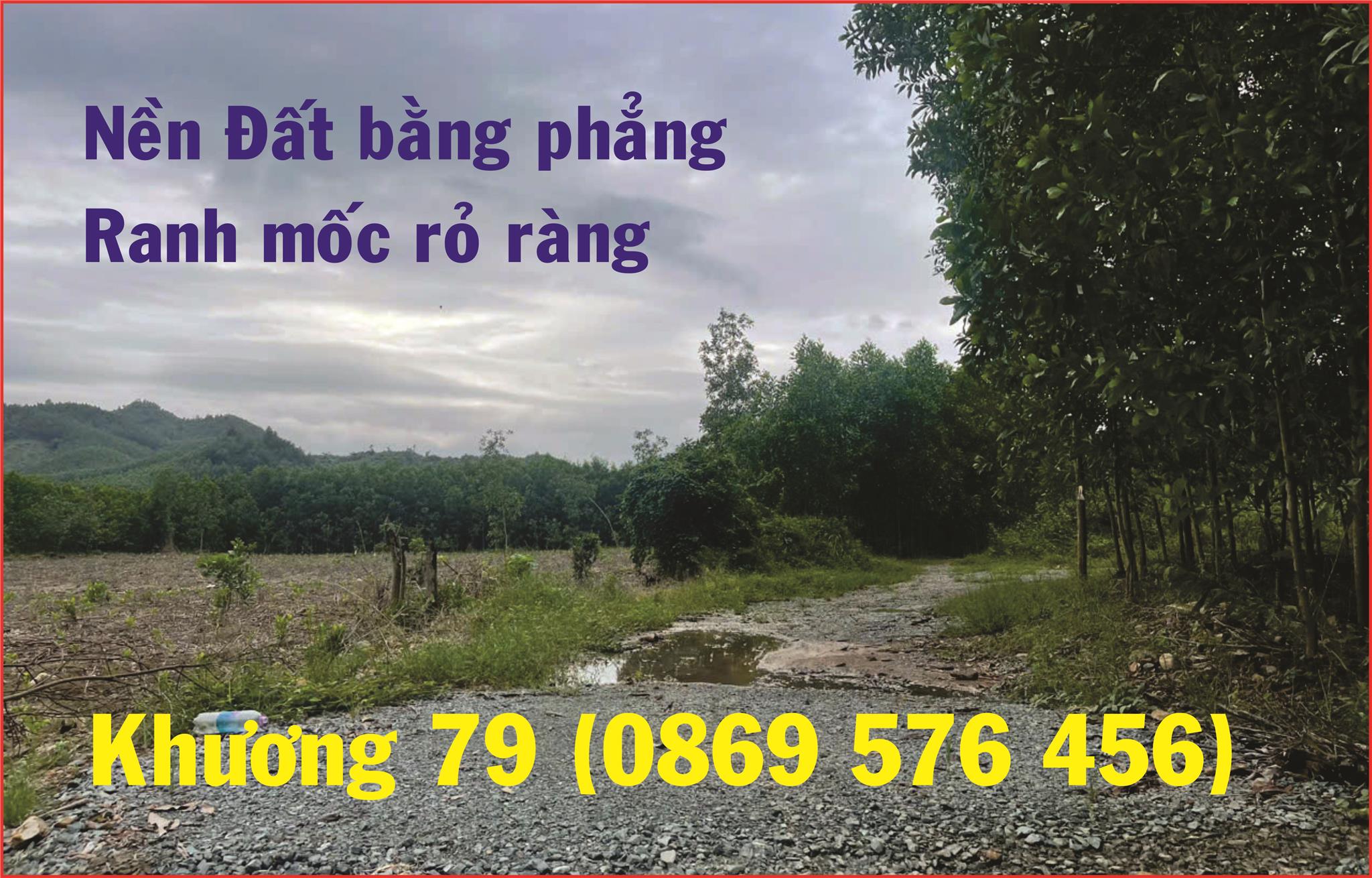 BÁN ĐẤT VƯỜN TẠI NHA TRANG KHÁNH HOÀ CHỈ 179 TRIỆU - Ảnh chính